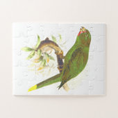 Puzzle Oiseau vert ressemblant à un perroquet perché sur  (Horizontal)