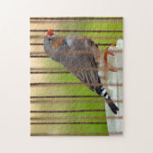 Puzzle Oiseau Zebra Finch en cage (Vertical)