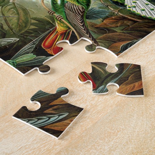 Puzzle Oiseaux (Côté)