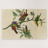 Puzzle Oiseaux d'Amérique d'Audubon (Horizontal)