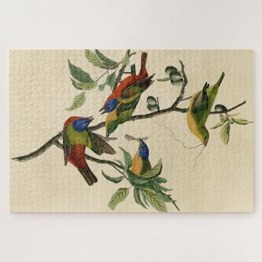 Puzzle Oiseaux d'Amérique d'Audubon (Horizontal)