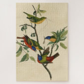 Puzzle Oiseaux d'Amérique d'Audubon (Vertical)