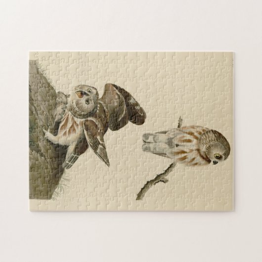 Puzzle Oiseaux d'Amérique d'Audubon (Horizontal)