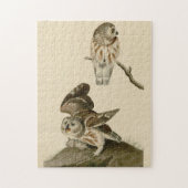 Puzzle Oiseaux d'Amérique d'Audubon (Vertical)