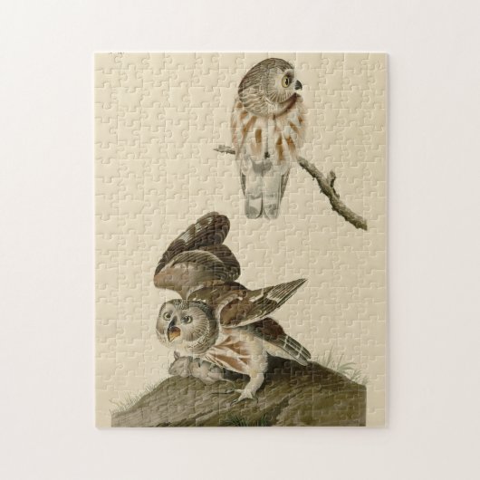 Puzzle Oiseaux d'Amérique d'Audubon (Vertical)