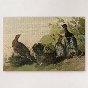 Puzzle Oiseaux d'Amérique du Grouse Audubon tacheté (épin