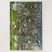 Puzzle Oiseaux d'Amérique du Nord (Vertical)