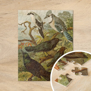 Puzzle Oiseaux d'Amérique du Nord Gustav Mützel