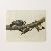 Puzzle Oiseaux d'Amérique du pic-rouge Audubon (Horizontal)