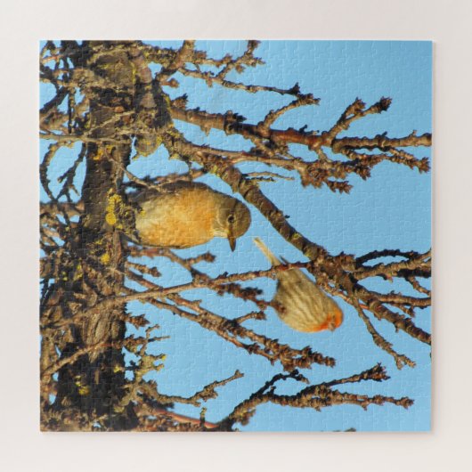 Puzzle - Oiseaux dans les branches (Horizontal)