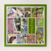 Puzzle Oiseaux de Boston Photo Collage (Horizontal)