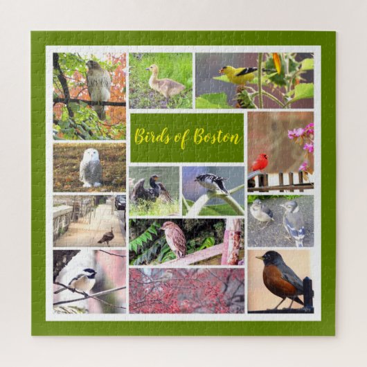 Puzzle Oiseaux de Boston Photo Collage (Vertical)