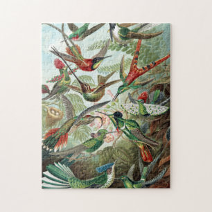 Puzzle Oiseaux de brousse colorés par l'affiche d'Ernst 