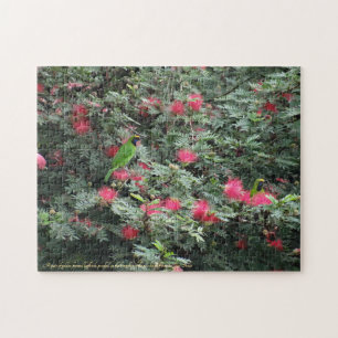 Puzzle Oiseaux de feuilles dorés Fleurs roses Photo Natur