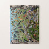 Puzzle Oiseaux de jardin de Pennsylvanie (Vertical)