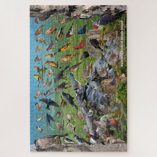 Puzzle Oiseaux de jardin de Rhode Island (Vertical)