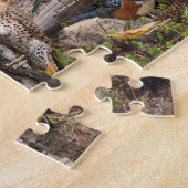 Puzzle Oiseaux de jardin du Kansas (Côté)
