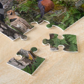 Puzzle Oiseaux de jardin du Kentucky (Côté)