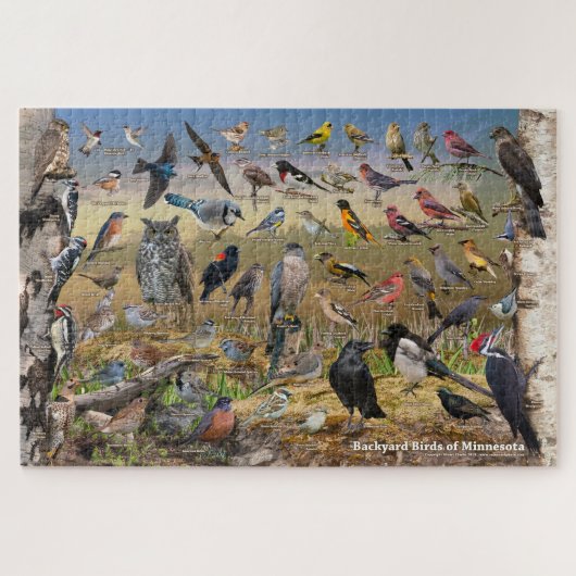 Puzzle Oiseaux de jardin du Minnesota (Horizontal)