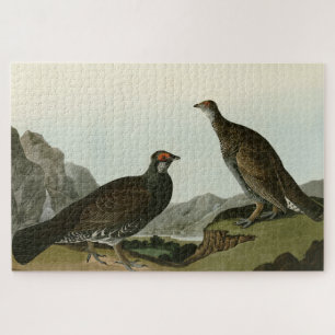 Puzzle Oiseaux de l'Amérique du Nord