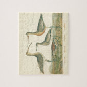 Puzzle Oiseaux de marais Courlis Oiseaux (Vertical)