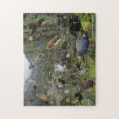 Puzzle Oiseaux de Nouvelle-Zélande (Vertical)