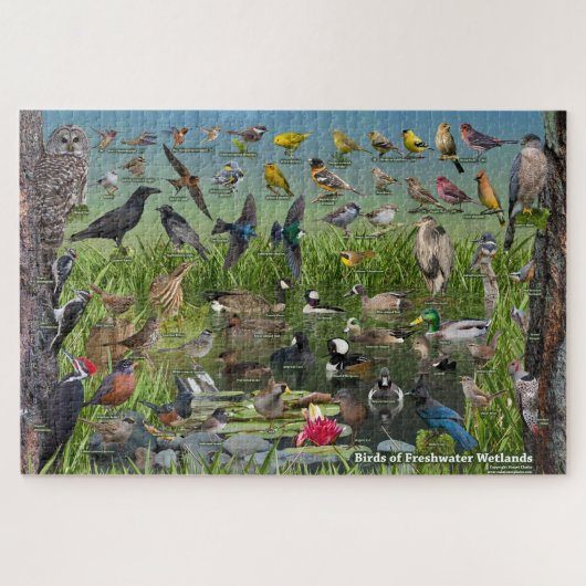 Puzzle Oiseaux des zones humides d'eau douce (Horizontal)