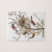Puzzle Oiseaux d'oriole du verger d'Audubon dans le criqu (Horizontal)