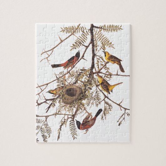 Puzzle Oiseaux d'oriole du verger d'Audubon dans le criqu (Vertical)