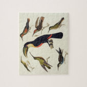 Puzzle Oiseaux indigènes, y compris le toucan (centre), (Vertical)