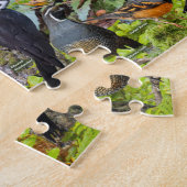 Puzzle Oiseaux jardins de Californie du Nord (Côté)