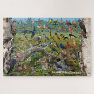 Puzzle Oiseaux jardins de la Nouvelle-Écosse