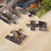 Puzzle Oiseaux jardins de l'Iowa (Côté)