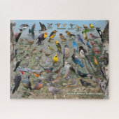 Puzzle Oiseaux Jardins de l'Oregon oriental (Horizontal)