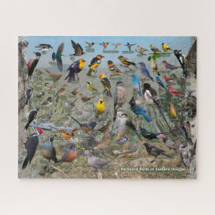 Puzzle Oiseaux Jardins de l'Oregon oriental