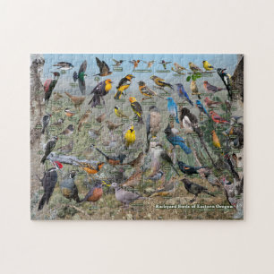 Puzzle Oiseaux Jardins de l'Oregon oriental