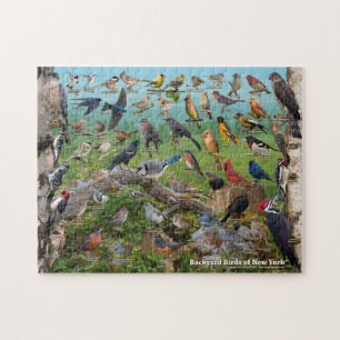 Puzzle Oiseaux Jardins de New York