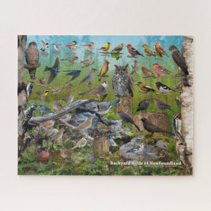 Puzzle Oiseaux jardins de Terre-Neuve
