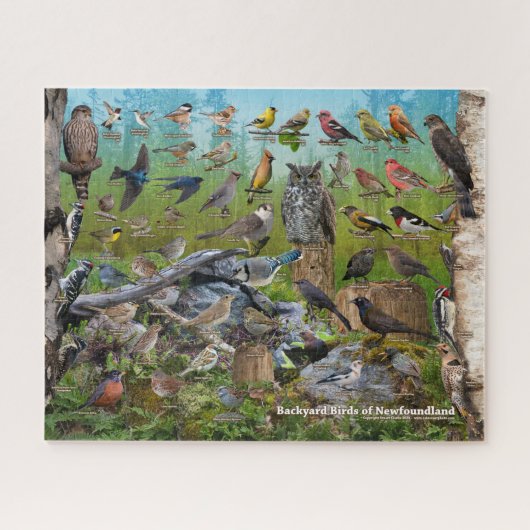 Puzzle Oiseaux jardins de Terre-Neuve (Horizontal)