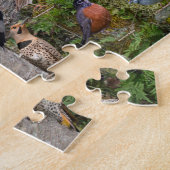 Puzzle Oiseaux Jardins du Delaware (Côté)