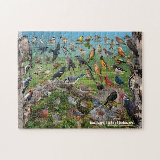 Puzzle Oiseaux Jardins du Delaware (Horizontal)