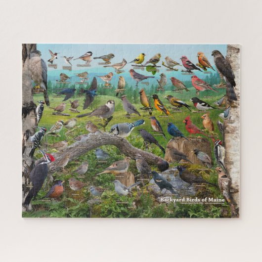 Puzzle Oiseaux Jardins du Maine (Horizontal)