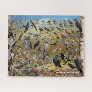 Puzzle Oiseaux Jardins du Manitoba