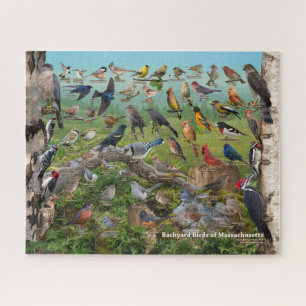Puzzle Oiseaux Jardins du Massachusetts