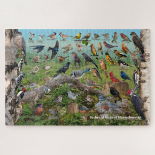 Puzzle Oiseaux Jardins du Massachusetts