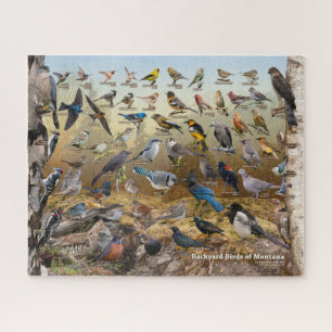 Puzzle Oiseaux Jardins du Montana