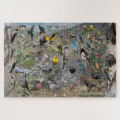 Puzzle Oiseaux jardins du Nevada (Horizontal)