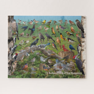Puzzle Oiseaux Jardins du New Hampshire