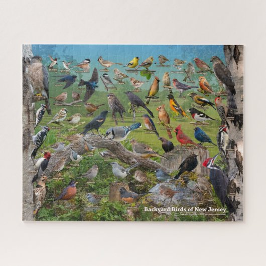 Puzzle Oiseaux jardins du New Jersey (Horizontal)