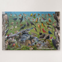 Oiseaux jardins du New Jersey